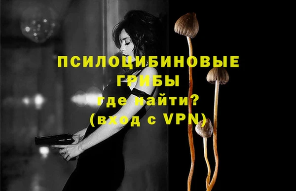 ПСИЛОЦИБИНОВЫЕ ГРИБЫ Алзамай