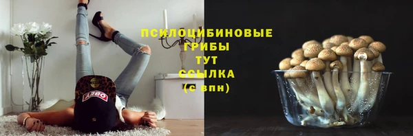 дживик Алексин