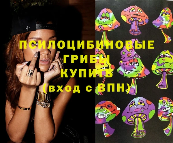 ПСИЛОЦИБИНОВЫЕ ГРИБЫ Алзамай