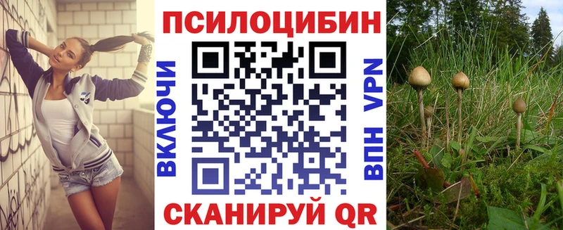 хочу маркетплейс какой сайт Псилоцибиновые грибы прущие грибы Нарткала