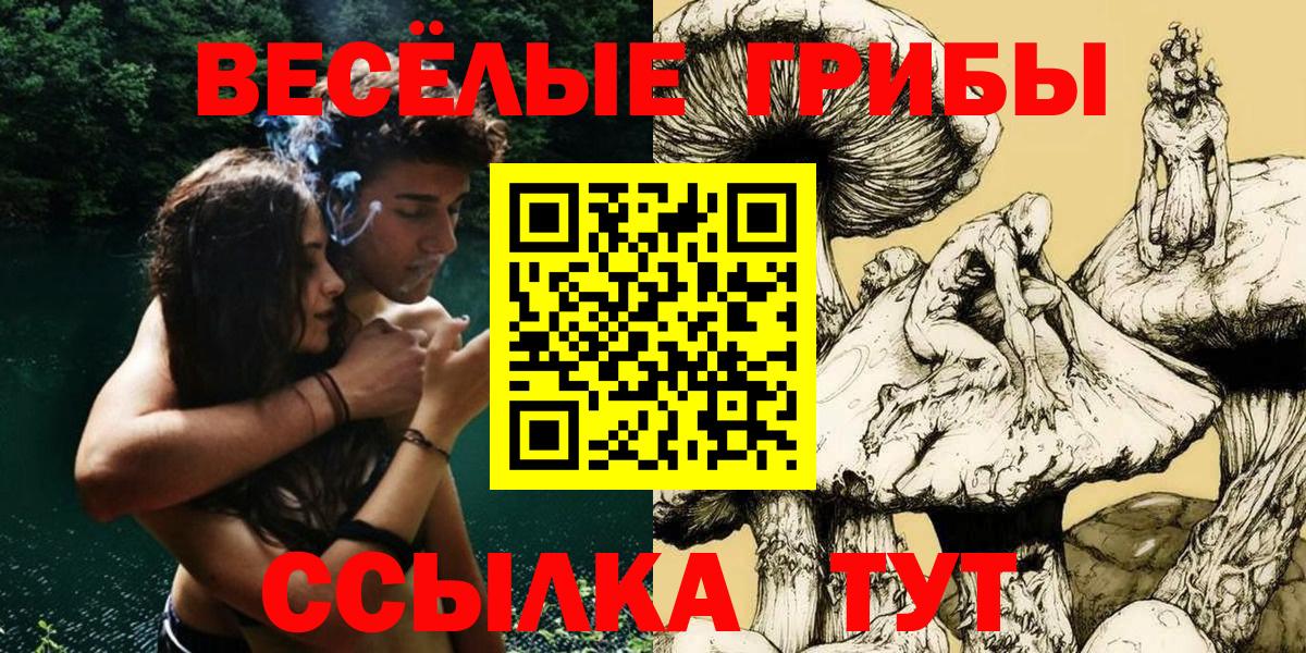 наркошоп  Вход с VPN  Галлюциногенные грибы мухоморы  Нарткала  Галлюциногенные грибы Psilocybe 
