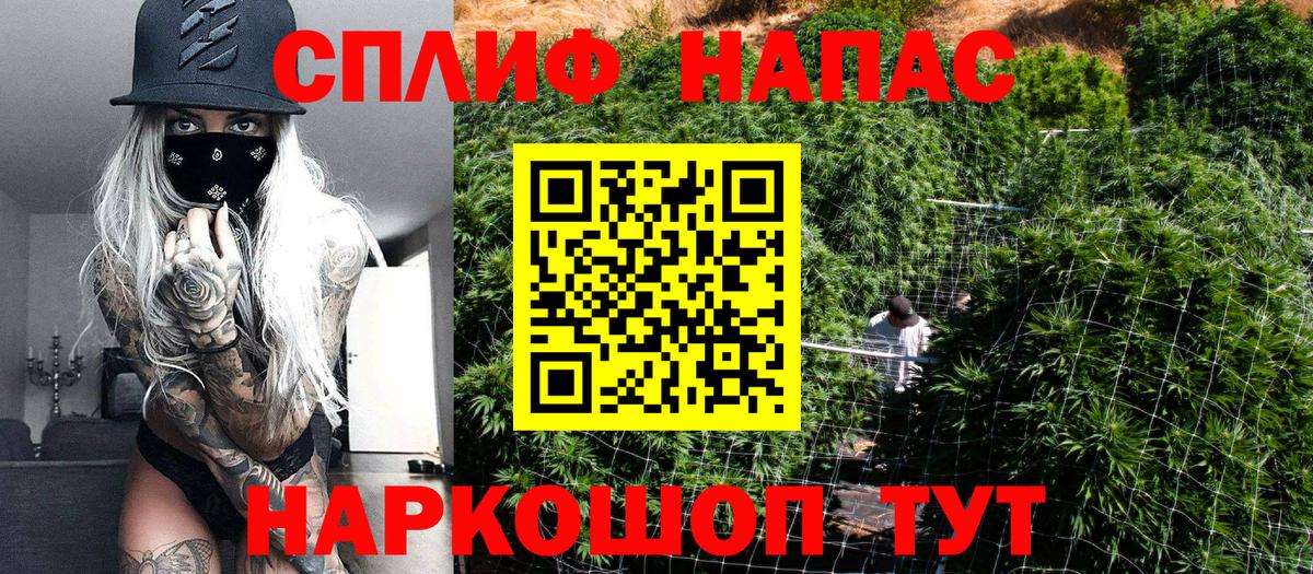 Бошки Шишки тримм  Конопля марихуана  Вход с VPN  Нарткала 